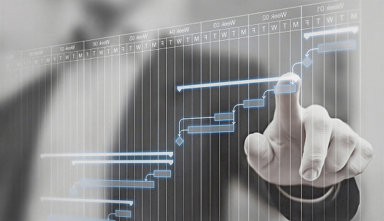Projektanfrage Projektsteuerung